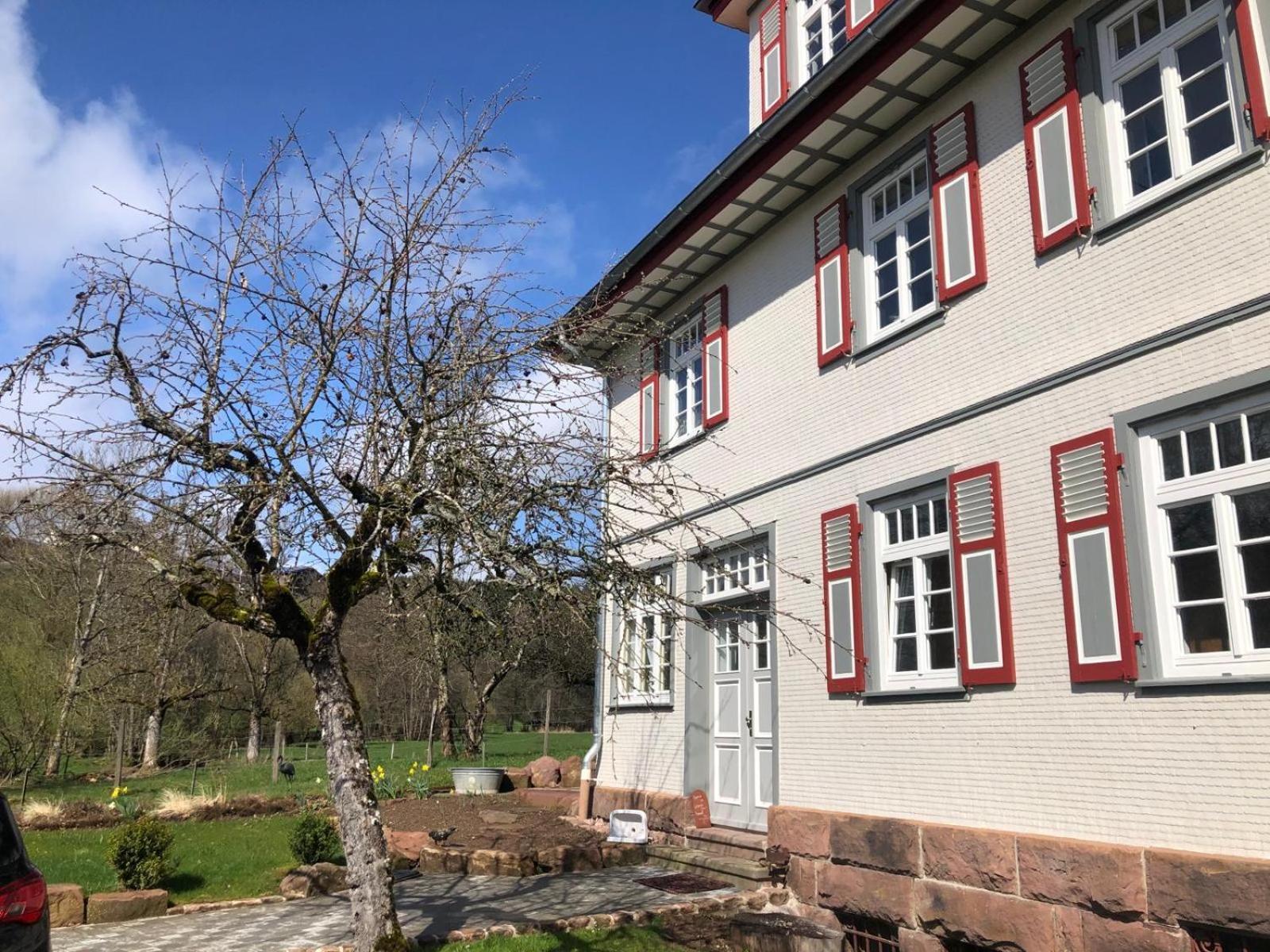 Ferienwohnung Am Stockerbach Freudenstadt Extérieur photo